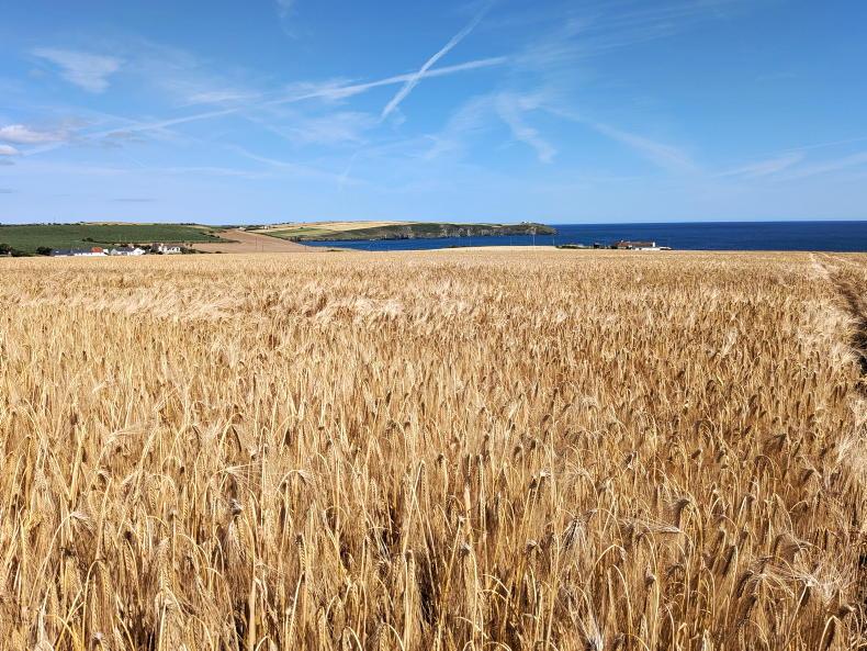 Festival to tackle farmer mental health in Donegal 