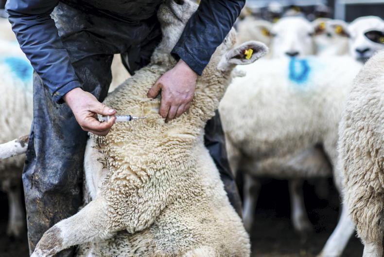 Government must not renege on budget commitments - IFA president