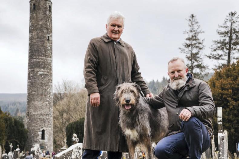 Irish Wolfhounds hold the pawsport to our hearts
