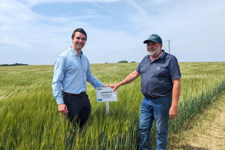 Combatting Italian ryegrass – without spraying