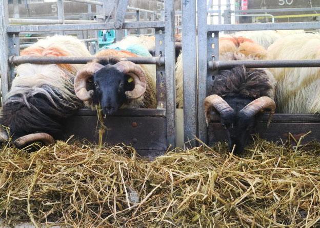 Cracking the organic leakage challenge