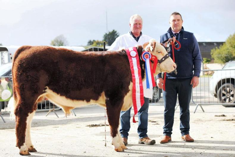 Championship honors for Gurteragh and Creagh in Kanturk
