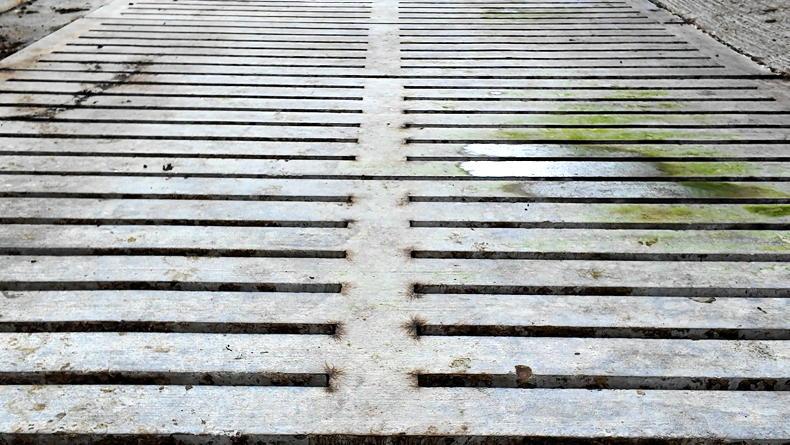 Simple fixes for farm safety this winter housing period with TAMS