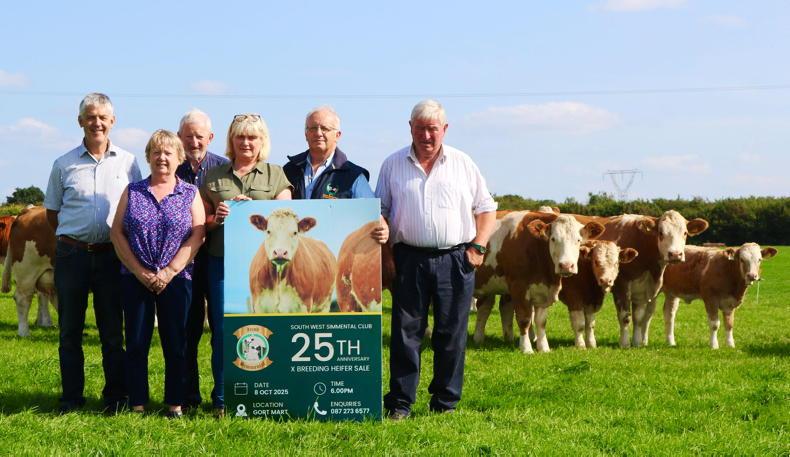 South West Simmental Club to hold 25th anniversary heifer sale