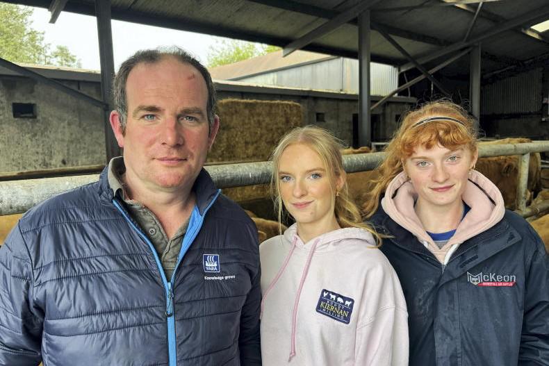 Juggling horses and heifers in high country