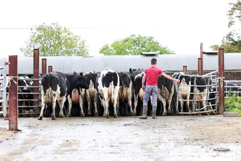 Budget 2026: TB funding more than doubled to €157m