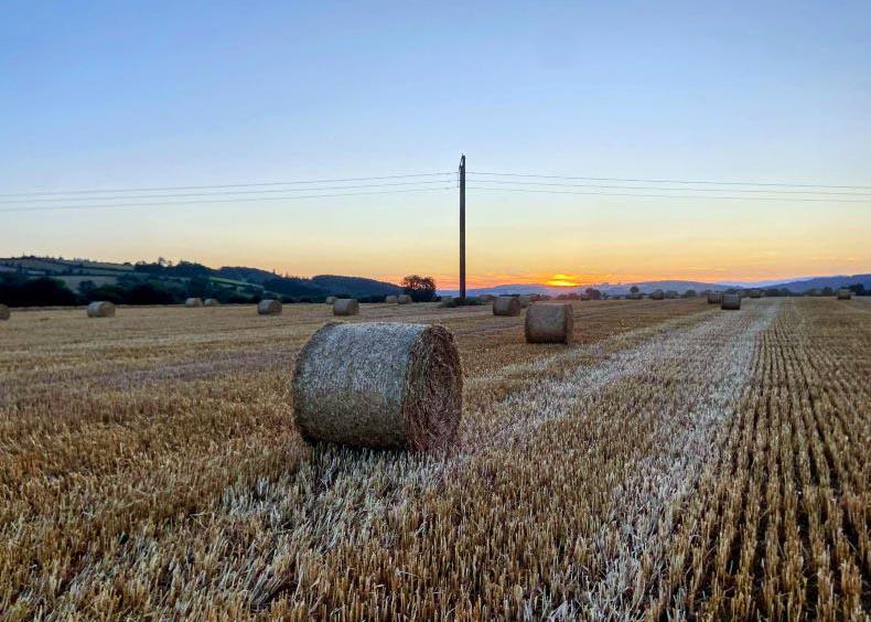 Budget 2026: tillage sector to get €30m in support