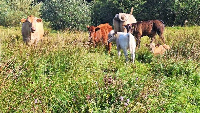 €20m for ACRES to meet continued commitments