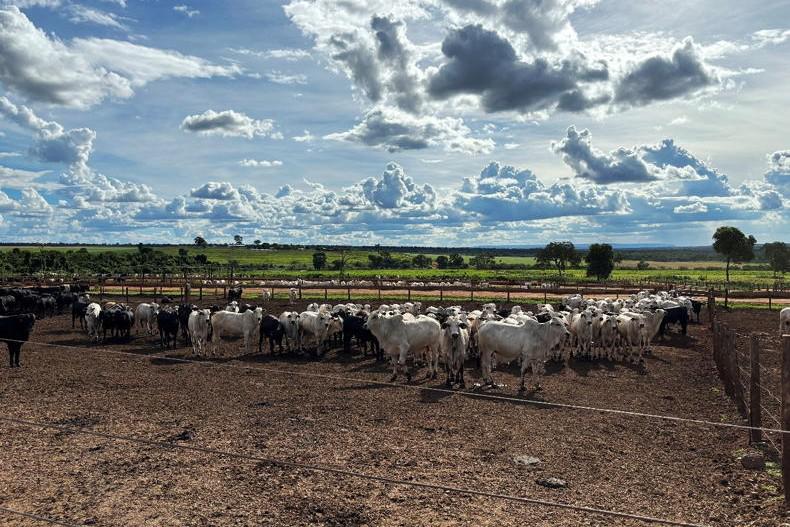 Market digest – stories from around the world