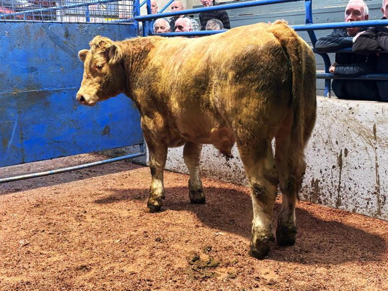 Trade steady as exporters exit