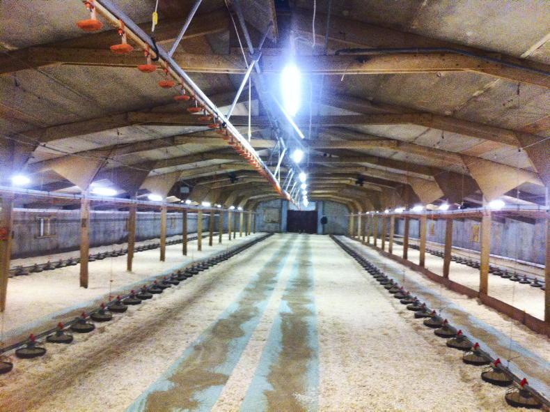 Approx 23,000 broiler breeders culled in Tyrone