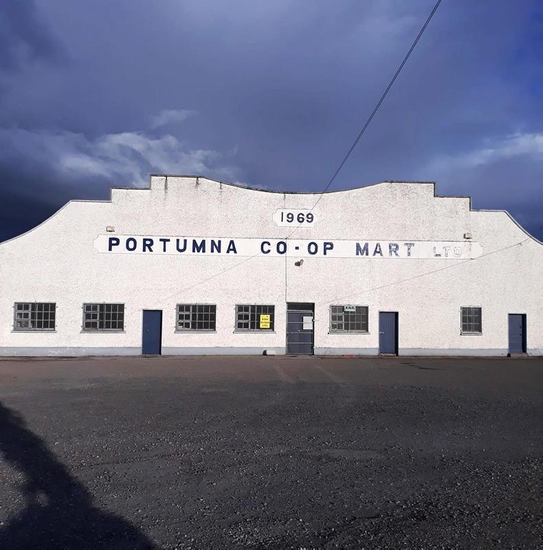 Conroy steps in as boss in Portumna