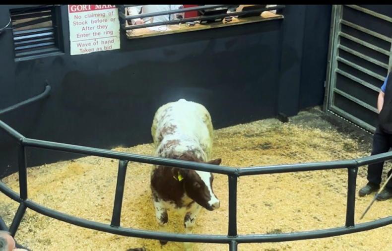 Editorial: increased farmer buying in marts this week