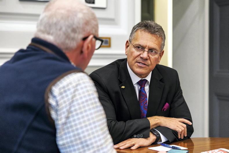 EU trade commissioner defends Mercosur safeguards