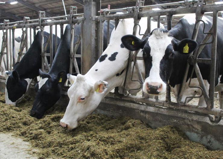 Over £13m of profit at Leprino Foods