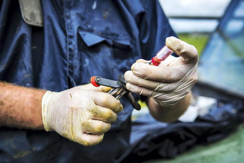 Spiralling TB costs dominate budget