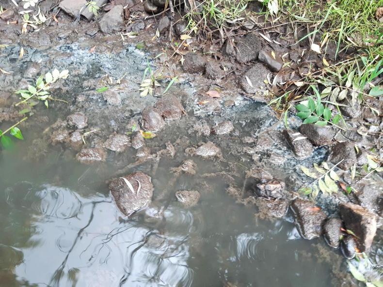 Half of Uisce Éireann's wastewater treatments plants fail to meet standard