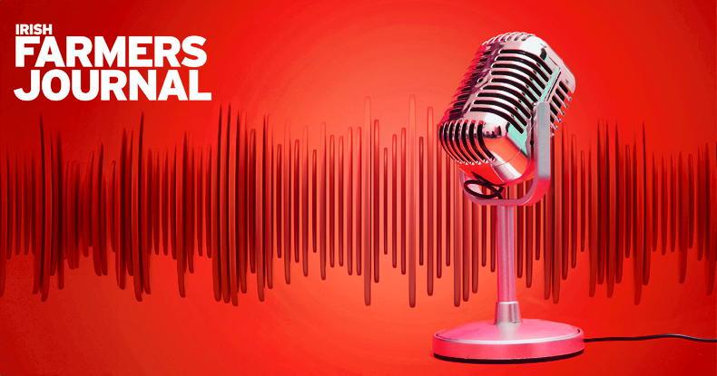 Farming News Podcast: Budget 2026, TB testing failures and boycott reaction