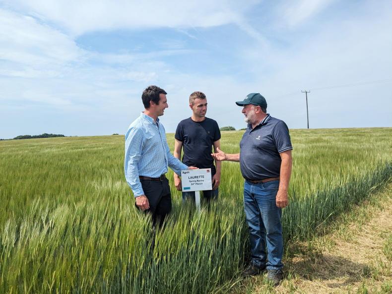 Tillage Podcast: budget, sowing and chats from Yorkshire
