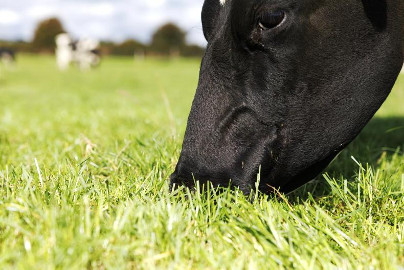  The Grass Week: closing up paddocks the name of the game