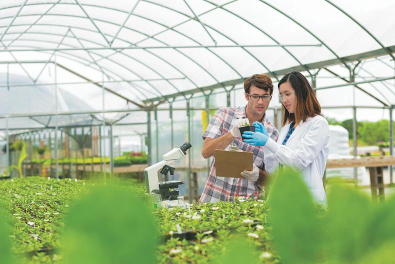 Master’s courses to bridge skill gaps in sustainable farming