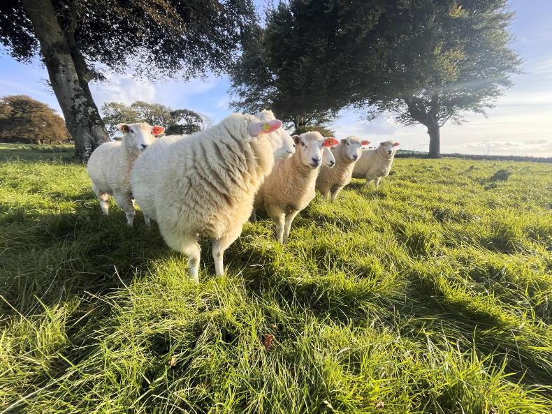 In pictures: our favourite readers’ photos of the week 