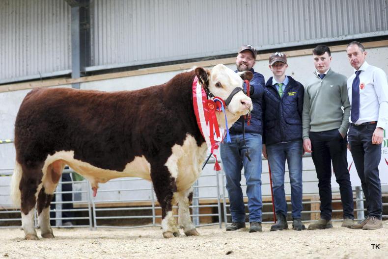 Uno acquires top price and championship accolade in Tullamore