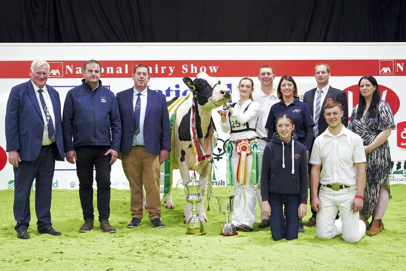 Triumph for Twizzle in Millstreet