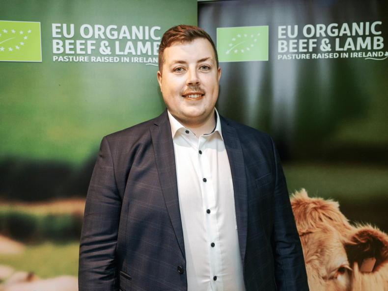 Irish food and drink in Northern Europe