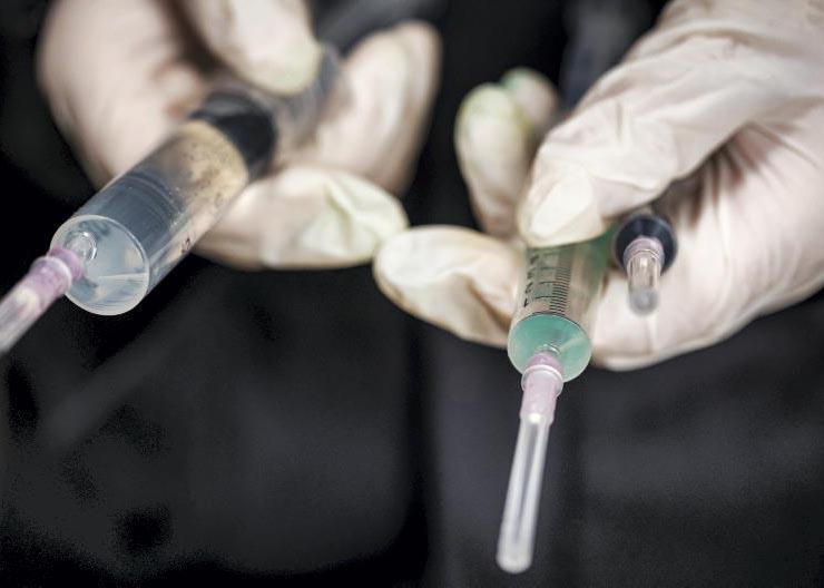 Using AI to streamline vet visits