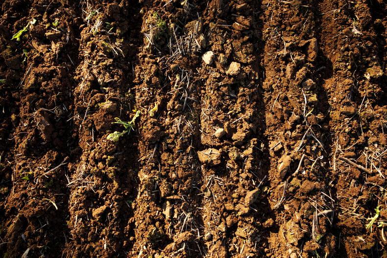 IFA welcomes proposal to change three-crop rule 