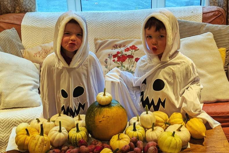 Country vibes... a few of our favourite things