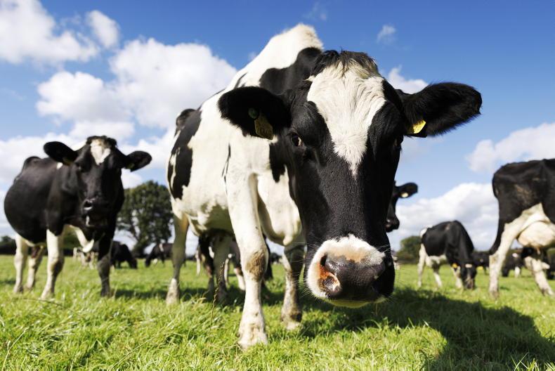 Largest non-bank lender doubles dairy farmer borrowing limit to €1m