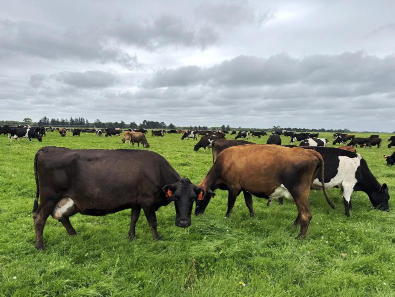 New Zealand steps back climate ambitions 