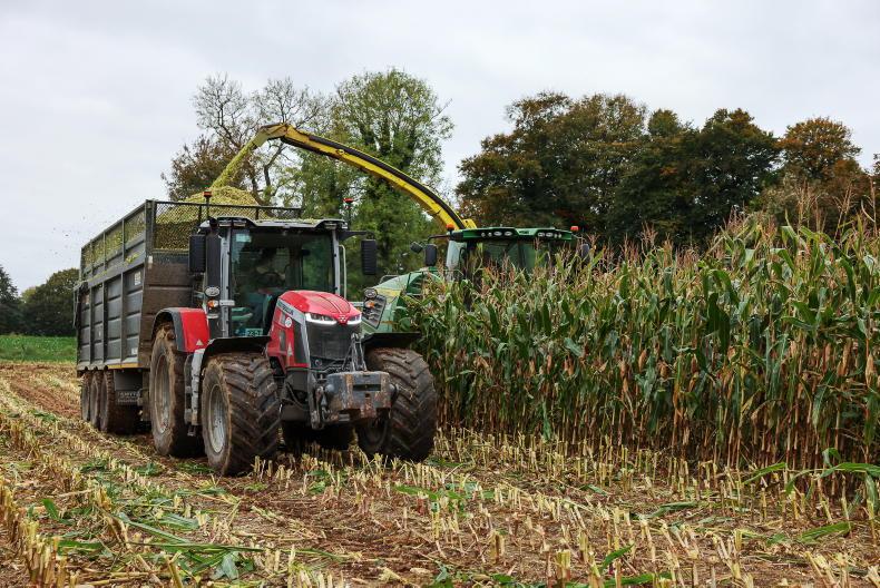 Tillage Management: sowing, seed rates and safety