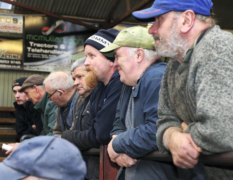 Northern Ireland diary of events