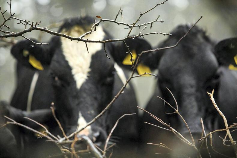 Farmers advised to overpay tax for 2025