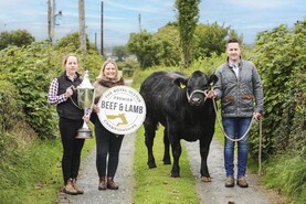 NI news in-brief: NSA raises concern over imported lamb