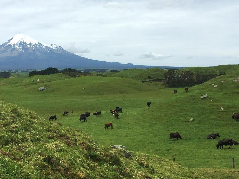 Lynskeys from New Zealand coming to Dairy Day  