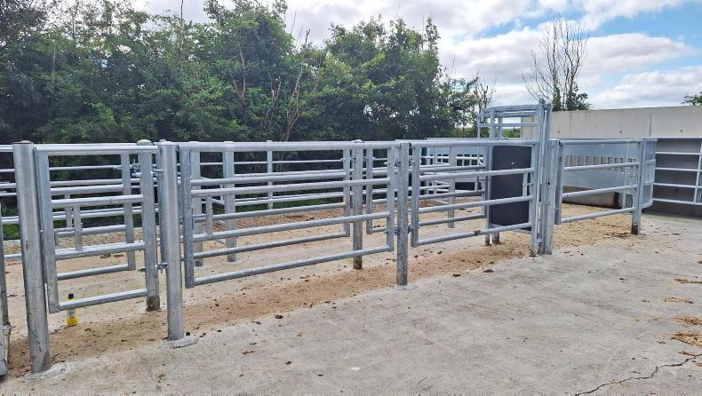 Approval for 40% of TAMS tranche eight applications
