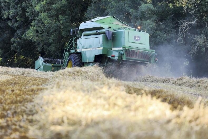 Grain losses are crystallised for tillage farmers     