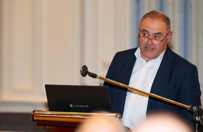 Beef trade facing twin threats on EU imports