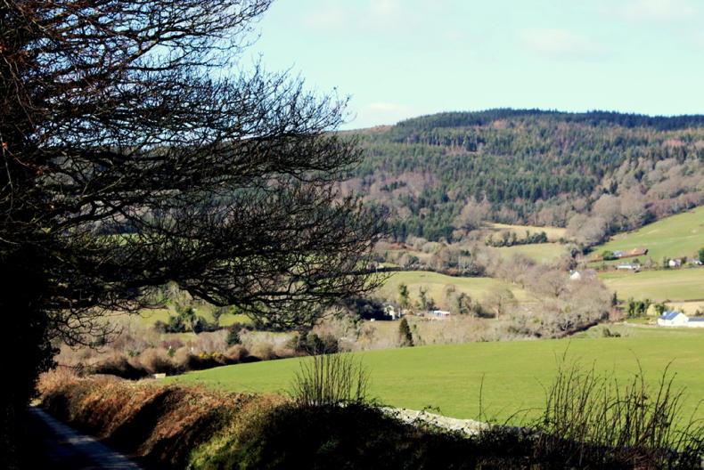 New public consultation on carbon farming