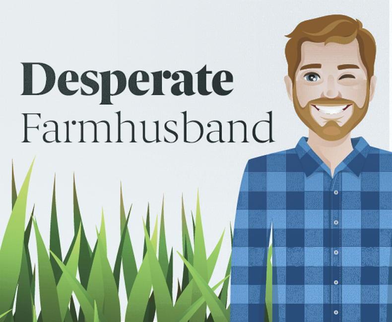 Desperate Farmhusband: ‘if you're not a farmer, my struggle might be baffling'