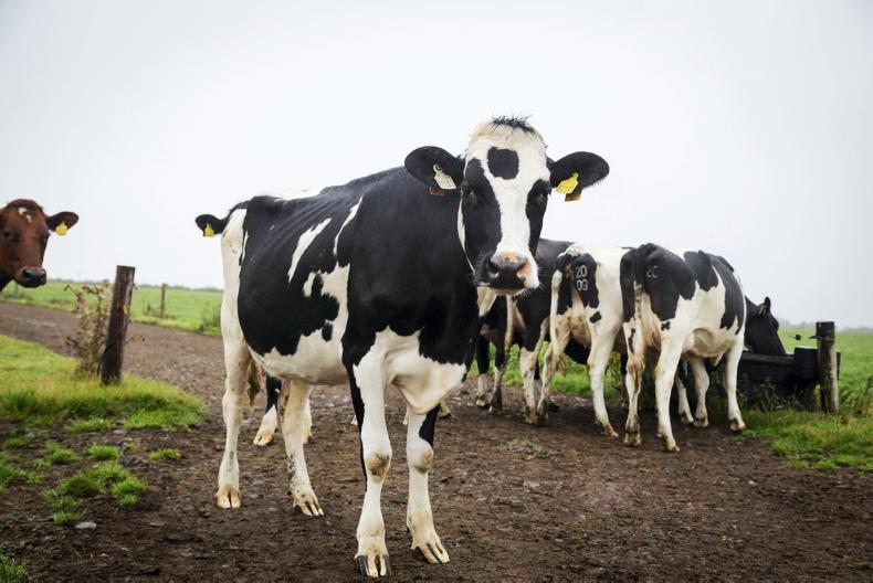 Milk processors take another 2.5p off prices