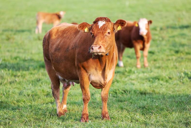 BISS payments will start to issue on Thursday