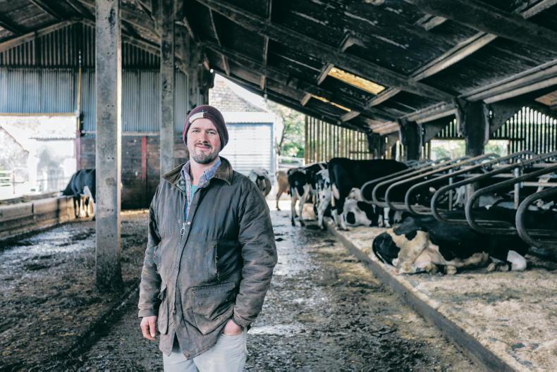 Money Mentor: should I turn my dairy farm into a company?