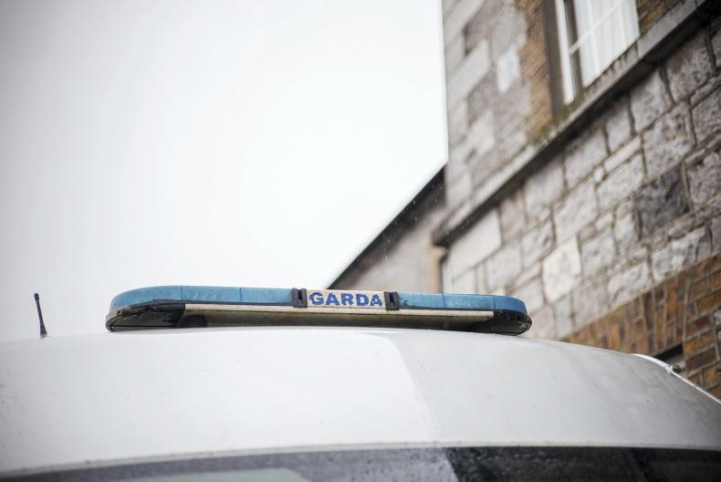 Two arrested in Kildare in connection with rural burglaries in northwest