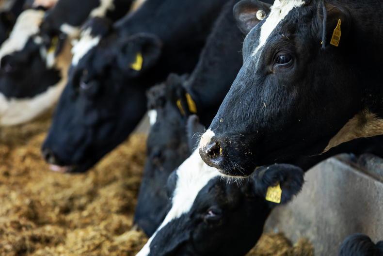 Managing costs on back of milk price cuts