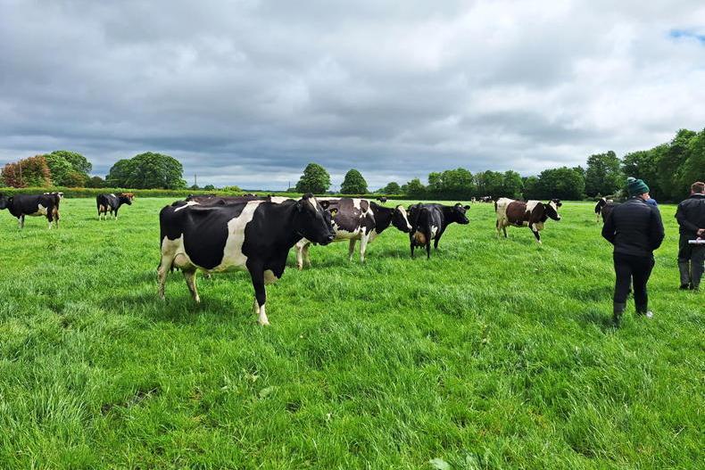 The Grass Week: how to manage targets with heavy rain promised